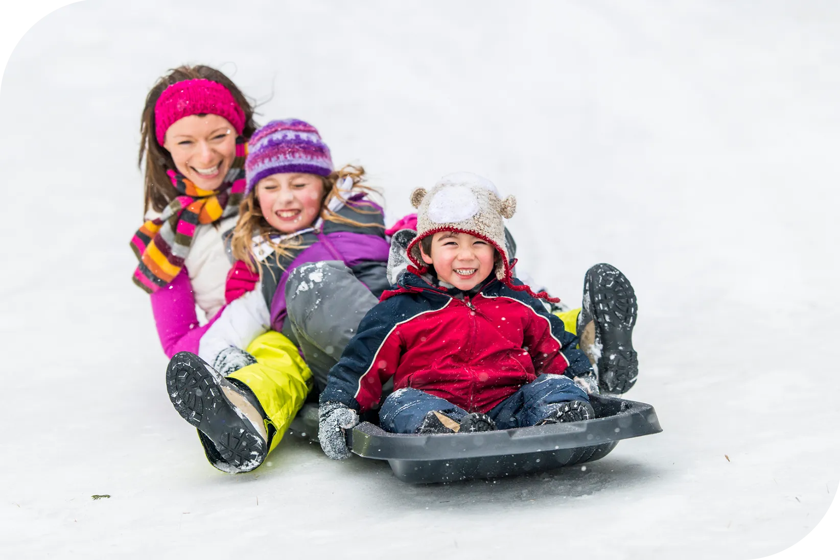 Family Sledging Experience