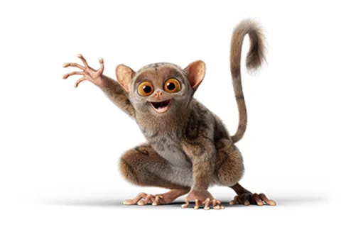 Koboldmaki Fitzgeraldo